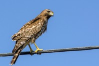 11022039735_26bd5dfd28_k