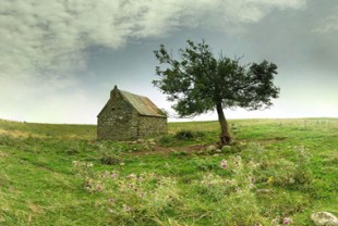 Plateau de La Godivelle (Puy-de-Dôme)