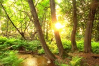 14594583108_61e54b164c_k