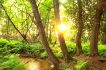 14594583108_61e54b164c_k