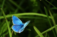 14945758911_2152dd1e09_z