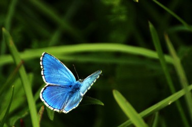 14945758911_2152dd1e09_z