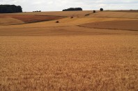 23454728364_f3f37c7740_z