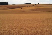 23454728364_f3f37c7740_z