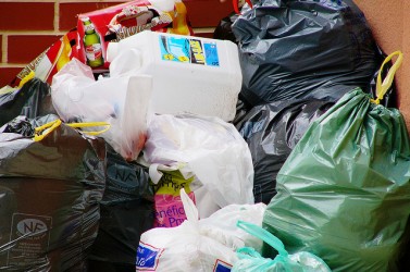 3631730276_e80361442c_z