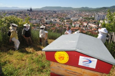 recolte_miel_clermont Montjuzet