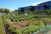 Implication Citoyenne