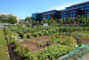 Implication Citoyenne