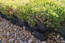 LePrieure-THC-Couverture-Creche-Poissy-2