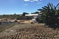 Séchage des briquettes