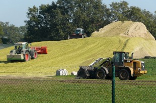 Biomassehaufen_Biogasanlage