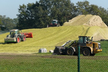 Biomassehaufen_Biogasanlage