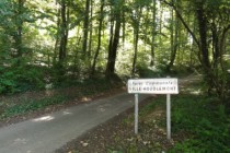 Ville-Houdlémont_(Meurthe-et-M.)_forêt_communal e Crédit Havang(nl) - Wikipedia