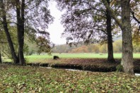 ZOOM_LOCAL1_Credits_S_LEVEQUE