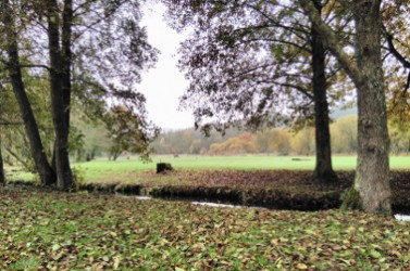 ZOOM_LOCAL1_Credits_S_LEVEQUE