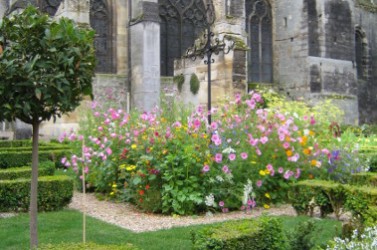 fleurissement estival jardin du cloitre