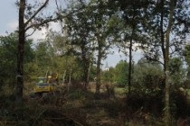 Photo 1 bis - Retrouver une biodiversité de prairies humides et rouvrir le paysage à proximité du bourg © SAH Sud Loire