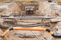 © fefufoto - Fotolia.com