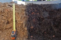 Innover Siterre Crédit Michel Legret