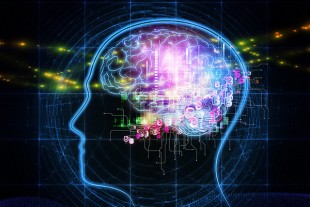 Cerveau_humain_connecte