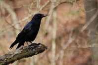 2792001391_11f2610d8b_z