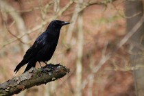 2792001391_11f2610d8b_z