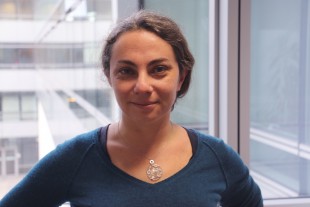 Anne Beauchesne CGET