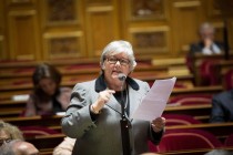 JACQUELINE GOURAULTSENATRICE DE LOIR-ET-CHER - VICE PRESIDENTE DU SENAT