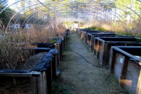 Le centre de recherche des nanoparticules de Duke Forest, en Californie