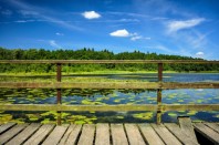 AdobeStock_164496065