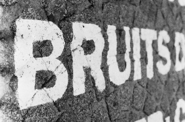 bruit