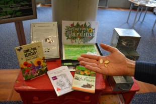 Grainothèque en bibliothèque ©Ville de Toulouse