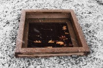 Un collecteur d'eaux pluviales