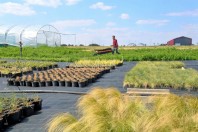 zone-maraichaire-lille