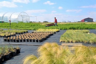 zone-maraichaire-lille