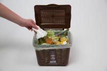 visuel utilisation Mon P'tit Bac