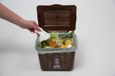 visuel utilisation Mon P'tit Bac