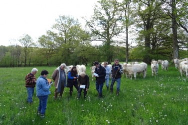 Photo 1 - Dans le cadre des mesures agro-environnementales, 50 agriculteurs ont été formés sur les haies et sur les prairies © ADAR CIVAM