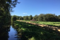 Photo 2 - Préserver et améliorer la biodiversité tout en ouvrant les sites au public, tel est l'objectif des CLAN