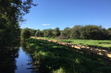 Photo 2 - Préserver et améliorer la biodiversité tout en ouvrant les sites au public, tel est l'objectif des CLAN