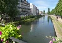 Biodiversité : les 5 articles les plus lus sur le Club Techni.Cités cette année