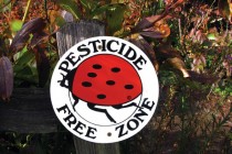 pesticides2