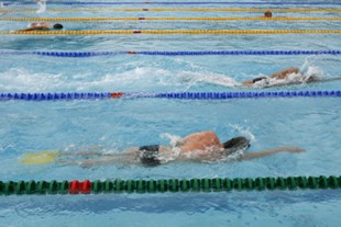 natation *** Local Caption ***