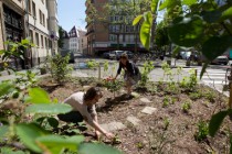 A Strasbourg, les habitants s’approprient les jardins de rue.