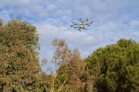 Traitement chenilles processionnaires par drone - ©Mairie de Cannes 3