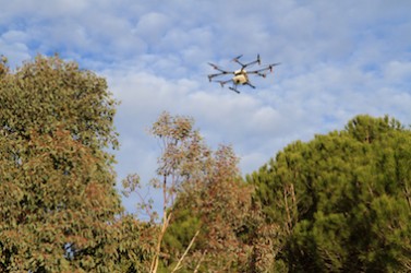 Traitement chenilles processionnaires par drone - ©Mairie de Cannes 3