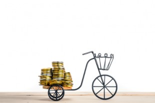 AdobeStock_110542335_beeboys