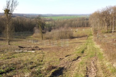 Photo 2 – ...et après aménagement du verger, d’une pâture, d’une bande enherbée le long du ruisseau et de zones de gagnage © Mairie Saint-Rémy