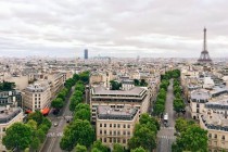 paris-arbre-nature-une