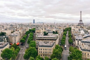 paris-arbre-nature-une